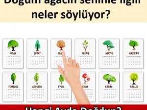 Doğum ağacın seninle ilgili neler söylüyor?