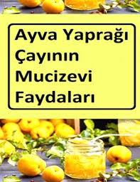 Ayva Yaprağının Faydaları galerisi resim 6