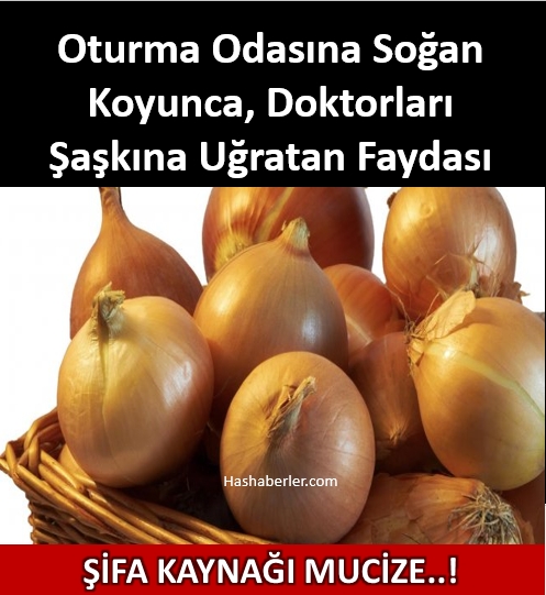 Doktorları Şaşkına Çeviren Fayda - Oturma Odasına Soğan Koyunca galerisi resim 1