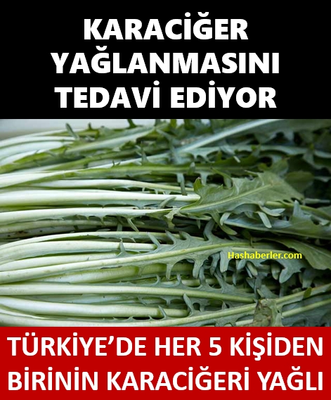 Karaciğer Yağlanmasını Tedavi Ediyor galerisi resim 1