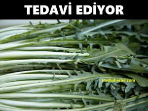 Karaciğer Yağlanmasını Tedavi Ediyor