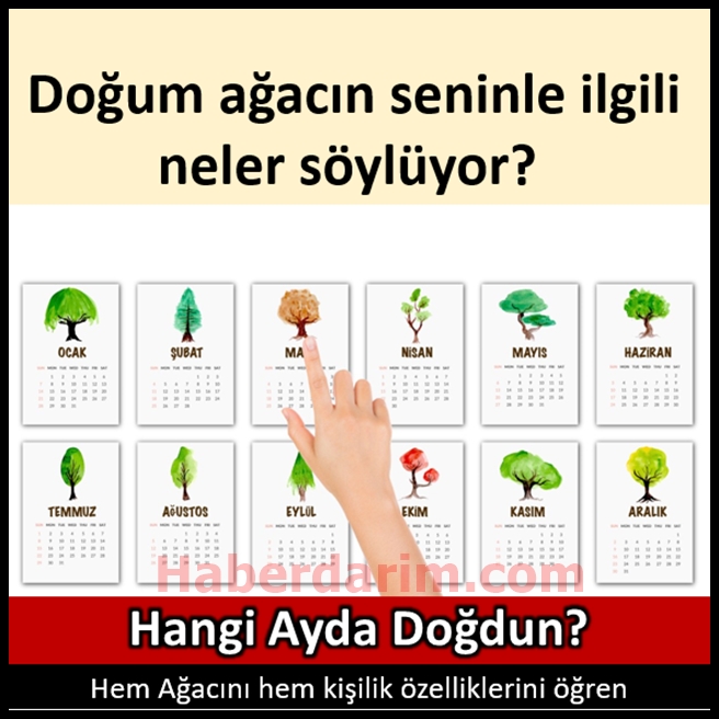 Doğum ağacın seninle ilgili neler söylüyor? galerisi resim 1