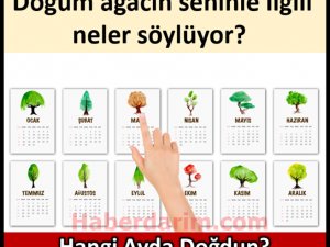 Doğum ağacın seninle ilgili neler söylüyor?