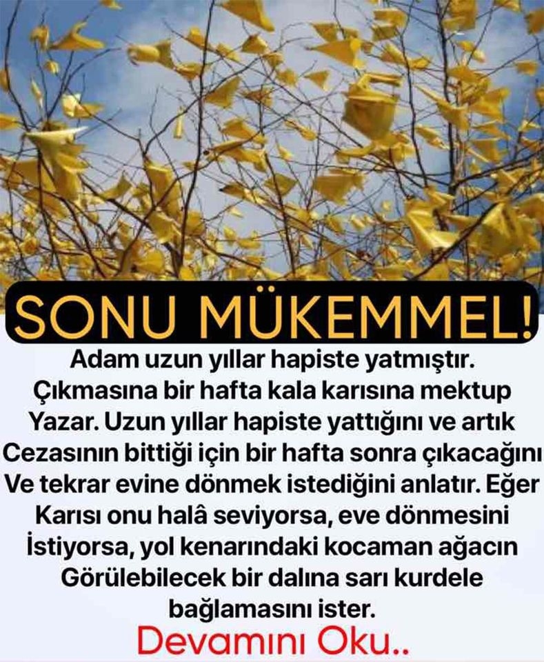 Sarı Kurdele galerisi resim 1