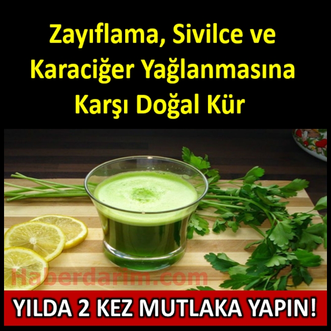 Maydanoz Suyu Limon Kürü galerisi resim 1