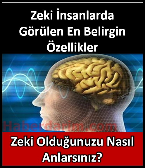 Zeki insanlarda görülen en belirgin özellikler galerisi resim 1