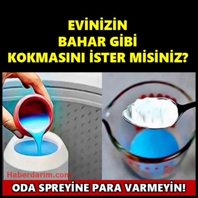 Boşuna Oda Spreylerine Para Vermeyin... galerisi resim 1