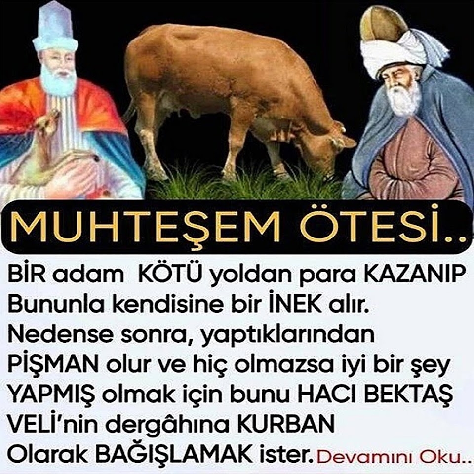 Muhhteşem ötesii galerisi resim 1