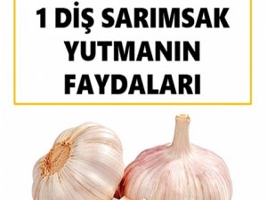 Sarımsak Yutmanın Faydaları