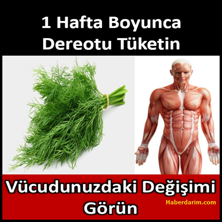 1 Hafta Boyunca Dereotu Tüketin, Vücudunuzdaki Değişimi... galerisi resim 1