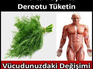 1 Hafta Boyunca Dereotu Tüketin, Vücudunuzdaki Değişimi...