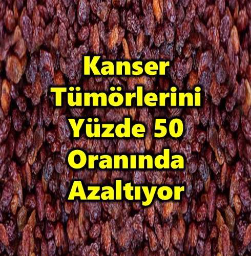 Kanser Tümörlerini Yüzde 50 Oranında Azaltıyor galerisi resim 1