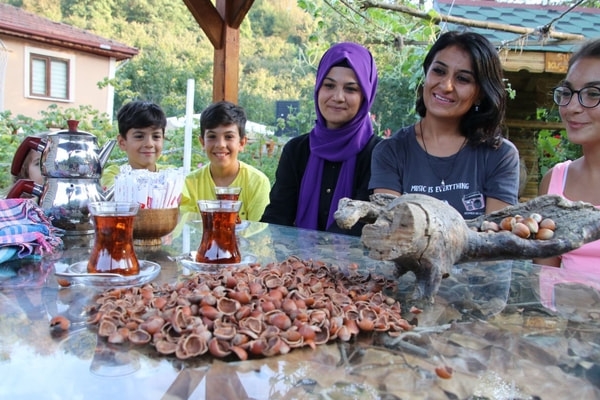 FINDIK KABUKLARINDAN MUCİZE! DÜZCE’DE İÇEN BİR DAHA İSTİYOR! galerisi resim 5