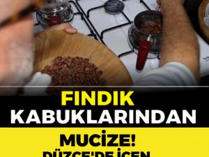 FINDIK KABUKLARINDAN MUCİZE! DÜZCE’DE İÇEN BİR DAHA İSTİYOR!