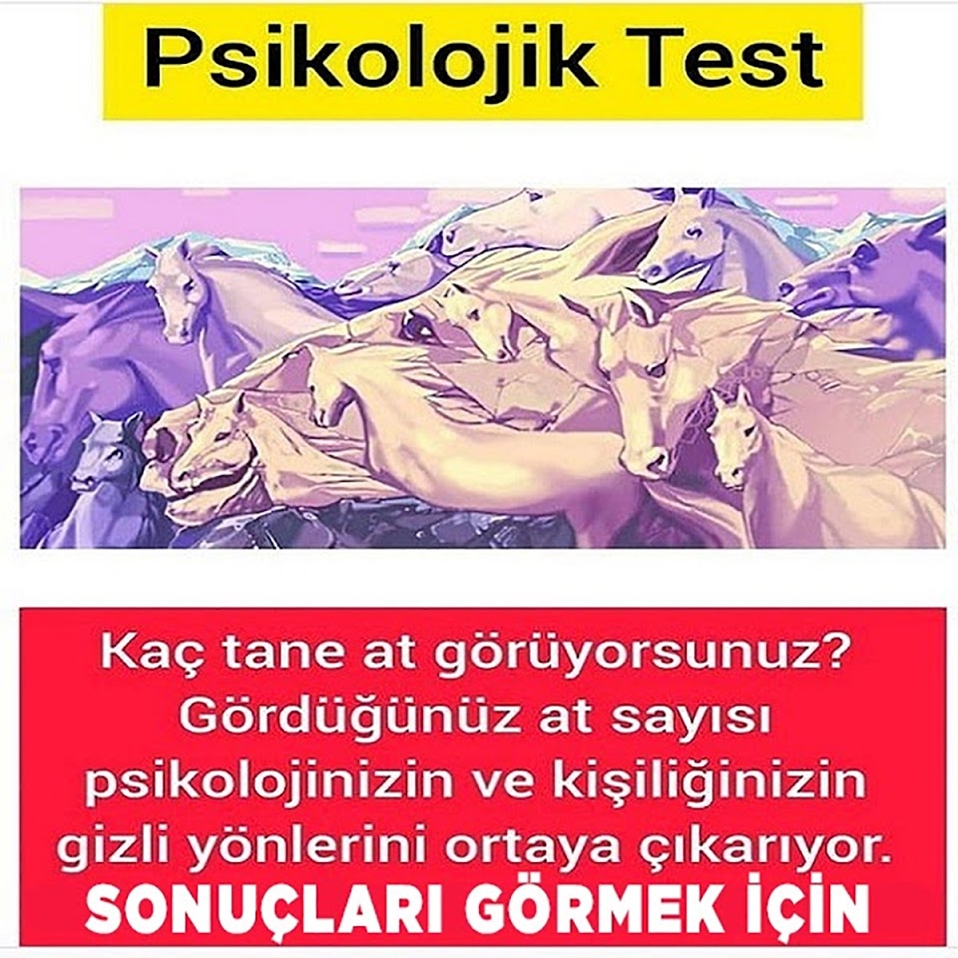 KAÇ TANE AT GÖRÜYORSUNUZ ? galerisi resim 1