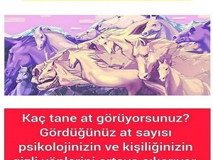 KAÇ TANE AT GÖRÜYORSUNUZ ?