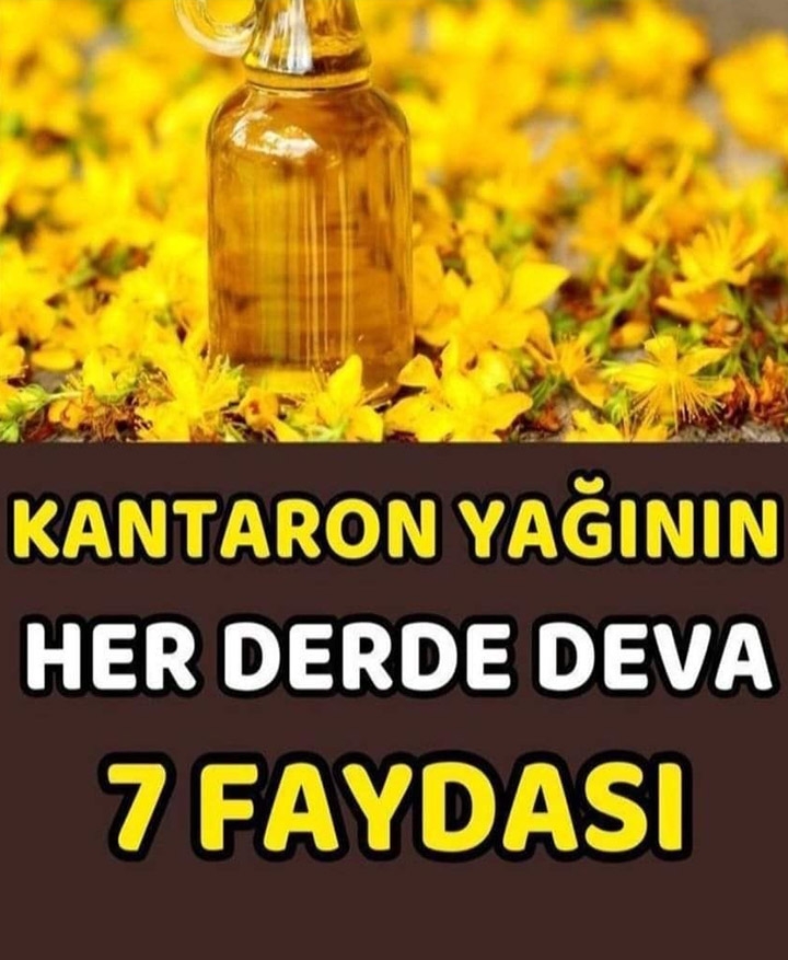 Hücre yenileyici kantaron yaginin faydalari galerisi resim 1