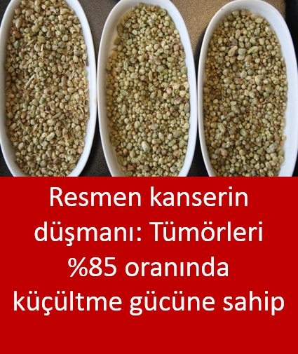 Resmen kanserin düşmanı galerisi resim 1