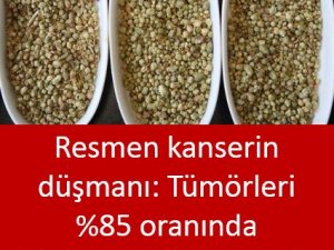 Resmen kanserin düşmanı