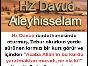 Hz Davut Aleyhisselam ve Kurt