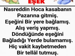 Eşşeğimi Bulana Eşşek