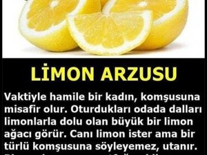 Limon İsteği  (Harika Bir Hikaye)