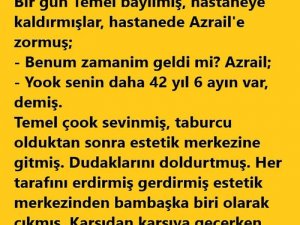 Temel Fıkrası  Temel'in EceIi