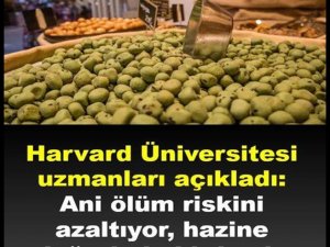 Harvard Üniversitesi uzmanları açıkladı..