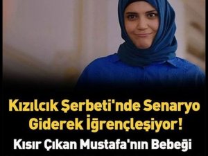 Kızılcık Şerbetinde Senaryo Giderek İğrençleşiyor