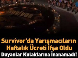 Survivor yarışmacılarının aldığı ücret