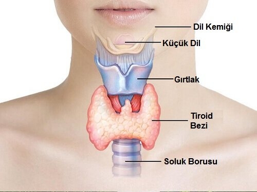 Tiroid Bozukluğuna İşaret Eden 14 Belirti galerisi resim 4