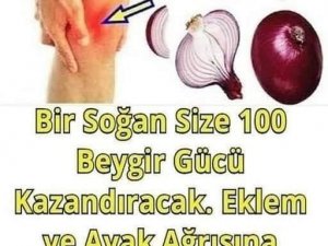 Bir Soğan Size 100 Beygir Gücü Kazandıracak.