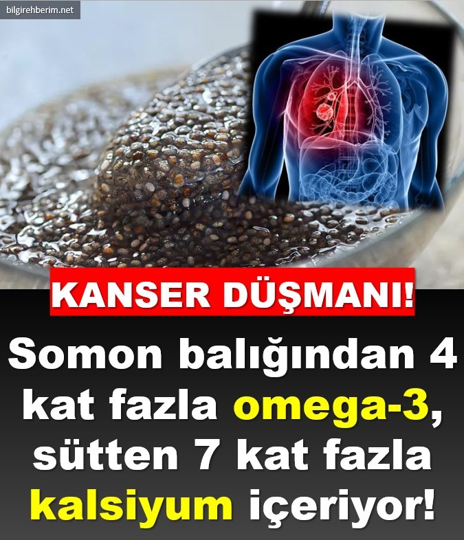 Tam Bir Kanser Düşmanı! galerisi resim 1