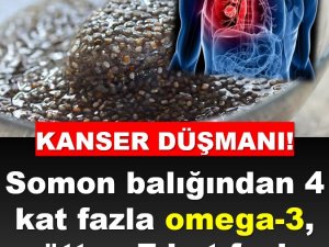 Tam Bir Kanser Düşmanı!