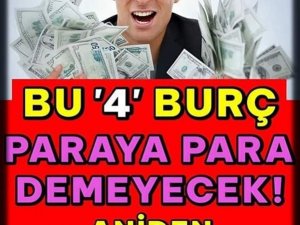 Parayı bulacak 4 Burç