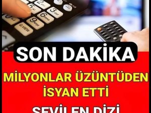 Sevilen dizi final kararı aldı.