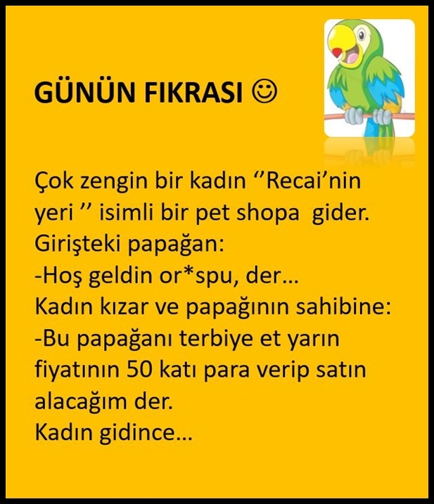 Bu papağanı eğit der galerisi resim 1