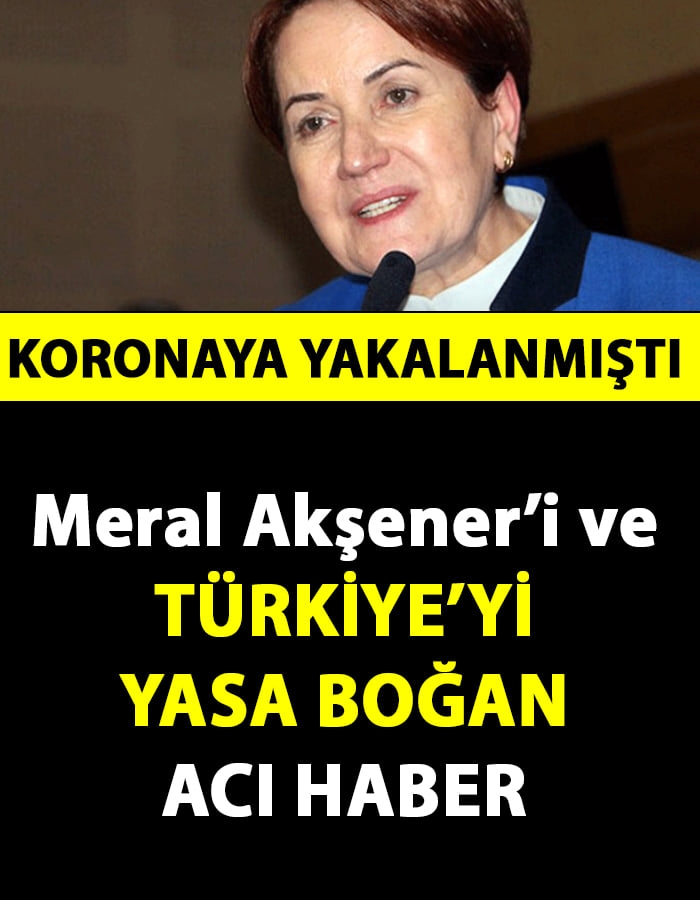 Meral Akşener'i Yasa Boğan Haber galerisi resim 1