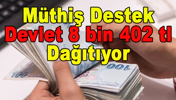 MÜTHİŞ DESTEK! DEVLET 8 BİN 402 LİRA DAĞITIYOR