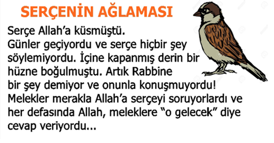 Serçe Allah’a Küsmüstü