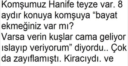 Komşumuz Hanife Teyze