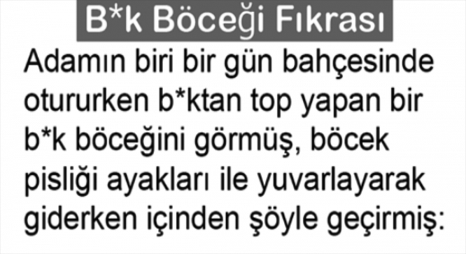 B*K BÖCEĞİ