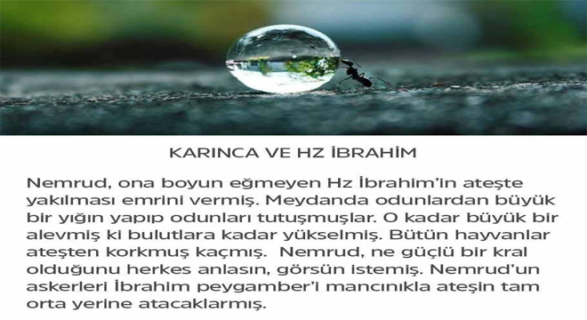 KARINCA VE HZ İBRAHİM KISSASI