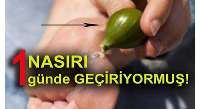 Nasırı 1 Günde Geçirecek Tedavi Yöntemleri