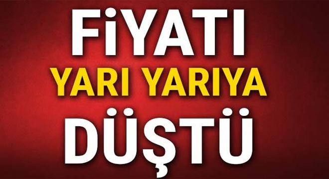 Fiyatı yarı yarıya düştü