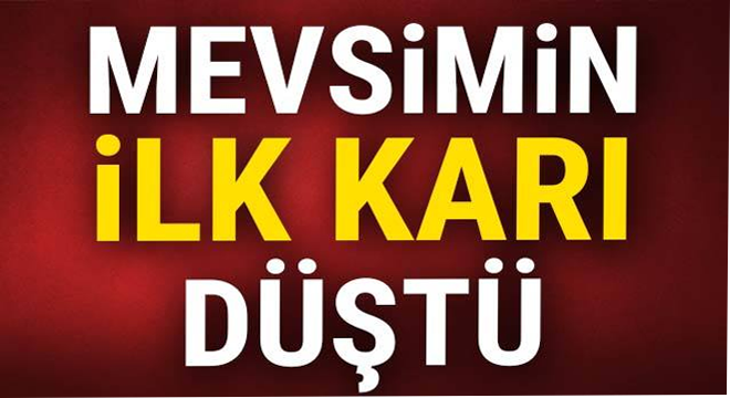 Mevsimin ilk karı düştü