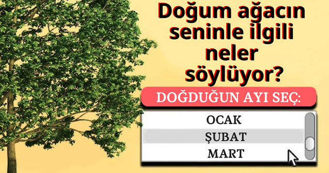 Doğum Ağacın – Seninle İlgili Neler Söylüyor…