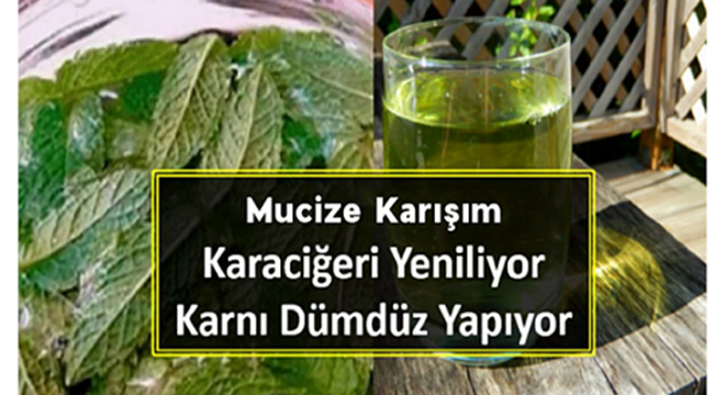 Bu Karışımla Göbeği Dümdüz Yapın, Karaciğeri Yenileyin