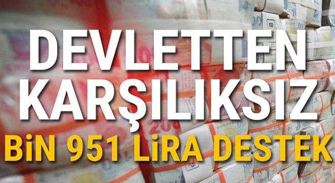 Devletten karşılıksız bin 951 lira destek! Hemen başvurun