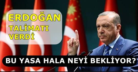 Başkan Erdoğan O Yasa için geç kalındı dedi